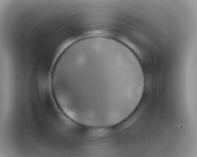 X0000113781474200910141028