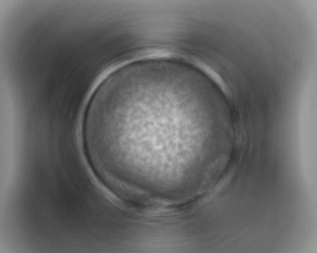 X0000113781475200910141028