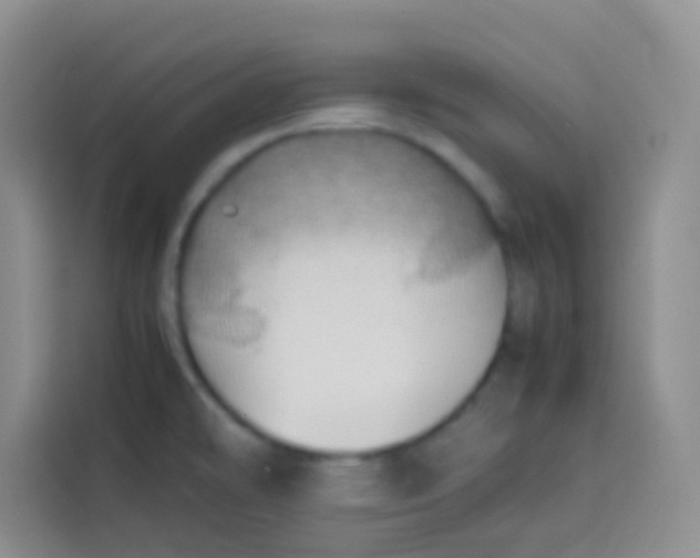 X0000113781478200910141028