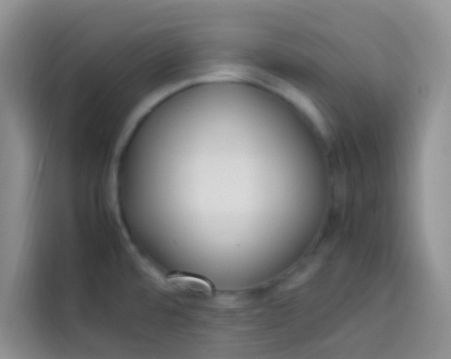 X0000113781480200910141028