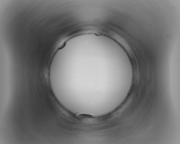 X0000113781481200910141028