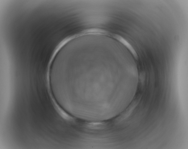 X0000113781482200910141028