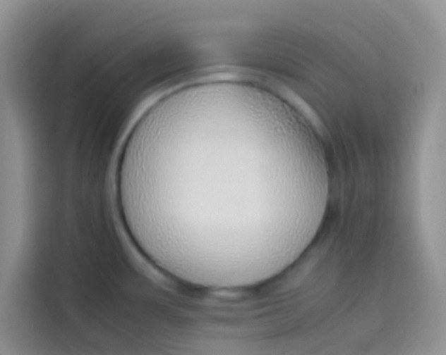 X0000113781483200910141028