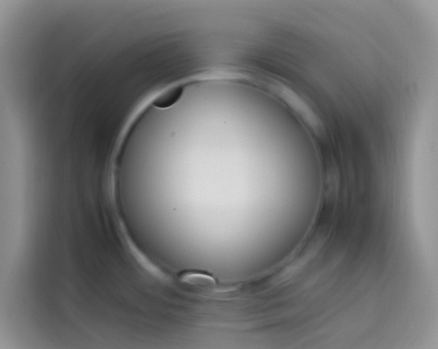 X0000113781484200910141028