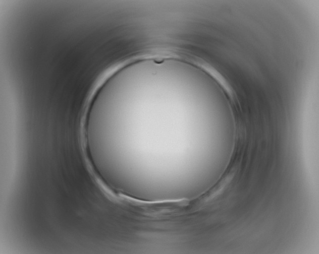 X0000113781485200910141028