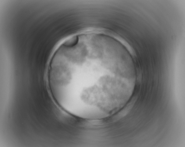 X0000113781486200910141028