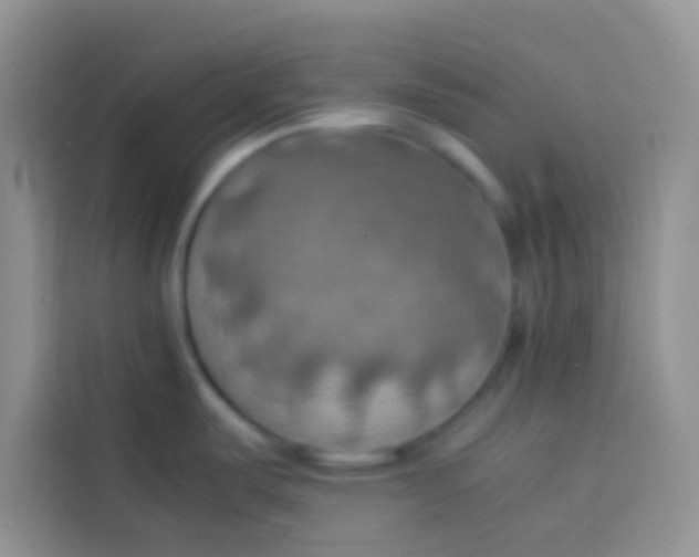 X0000113781487200910141028