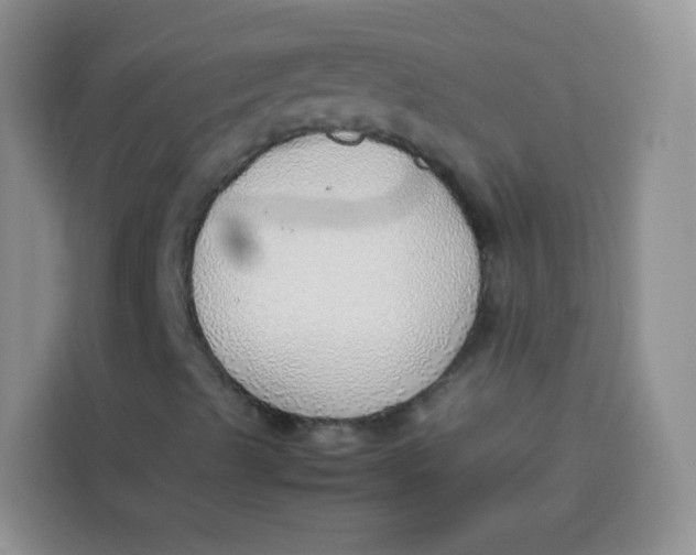 X0000113781489200910141028