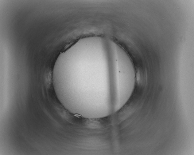 X0000113781492200910141028