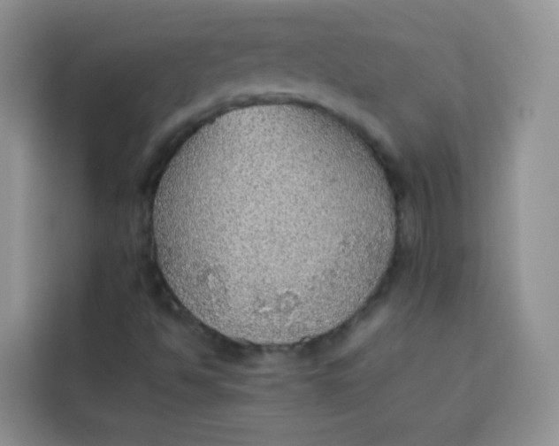 X0000113781494200910141028