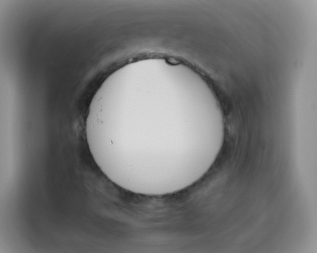 X0000113781495200910141028