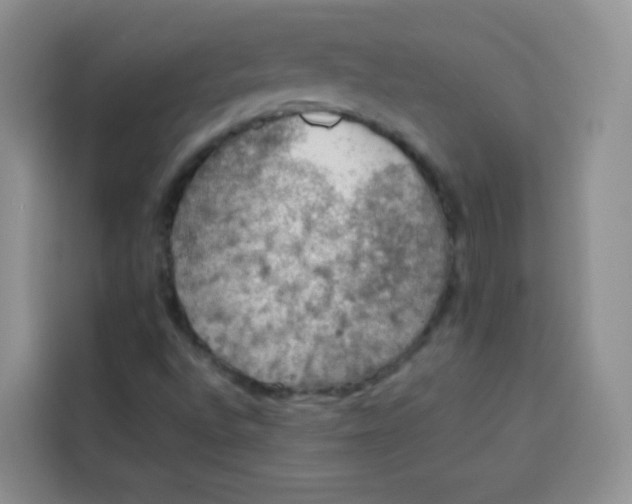 X0000113781496200910141028