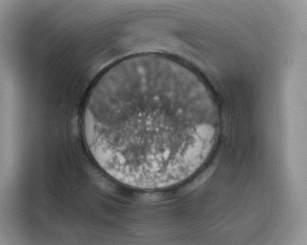 X0000113781497200910141028