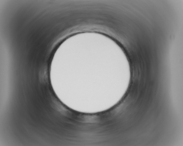 X0000113781498200910141028