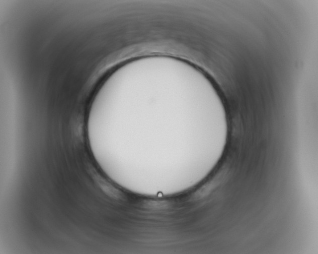 X0000113781499200910141028