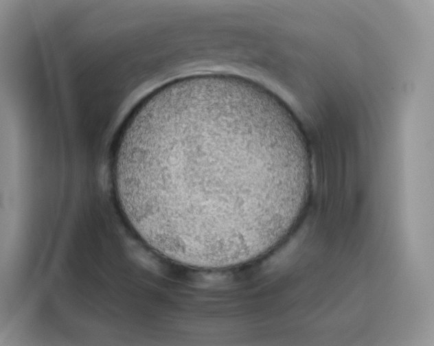 X0000113781501200910141028