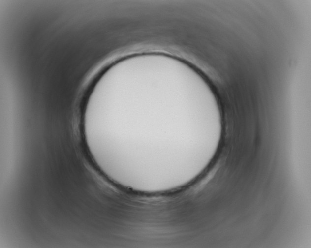 X0000113781502200910141028