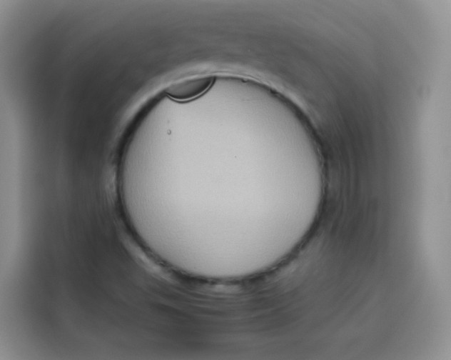 X0000113781503200910141028