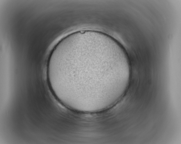 X0000113781504200910141028