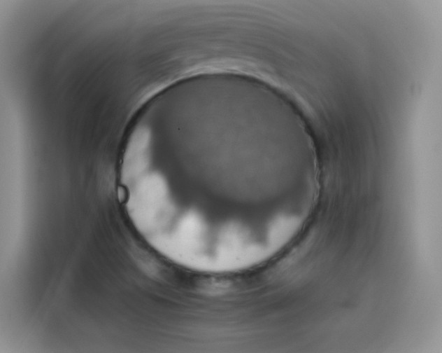 X0000113781505200910141028