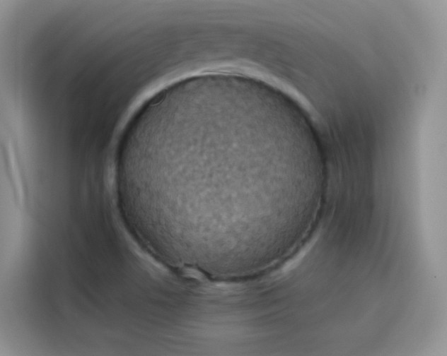 X0000113781506200910141028