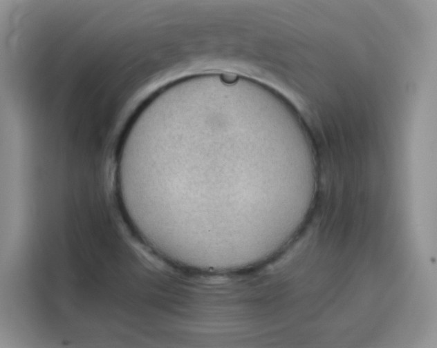 X0000113781507200910141028