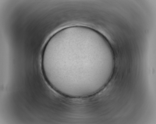 X0000113781508200910141028