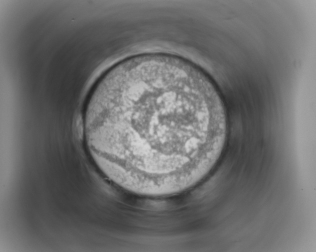 X0000113781509200910141028