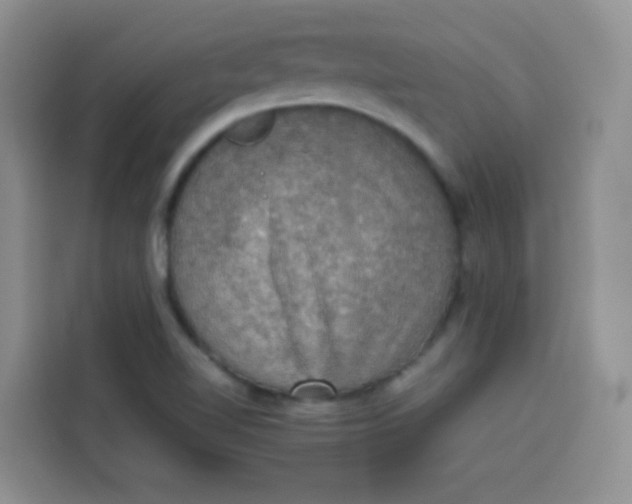 X0000113781510200910141028