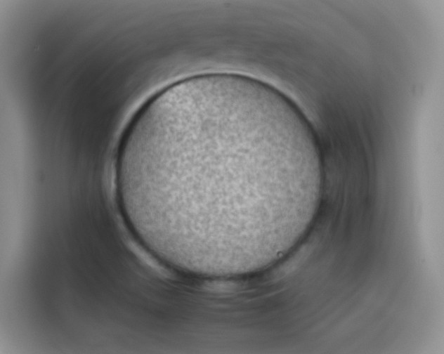 X0000113781511200910141028