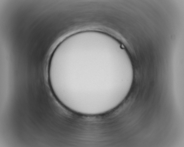 X0000113781512200910141028