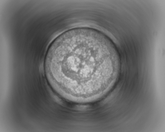 X0000113781513200910141028