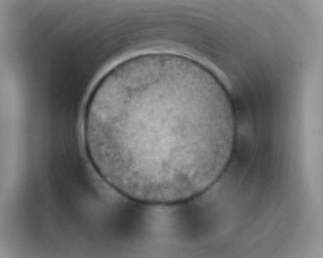 X0000113781514200910141028