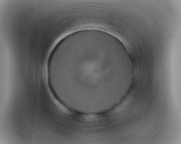 X0000113781515200910141028