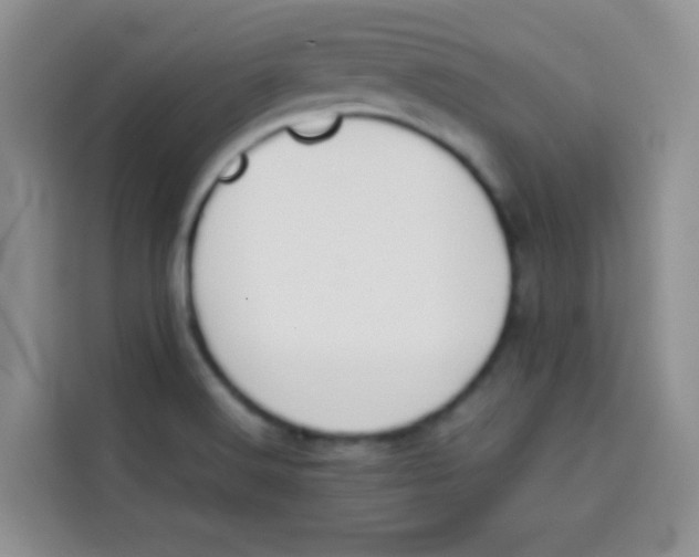 X0000113781516200910141028