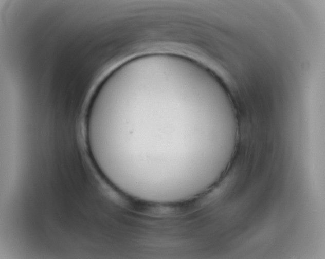 X0000113781517200910141028