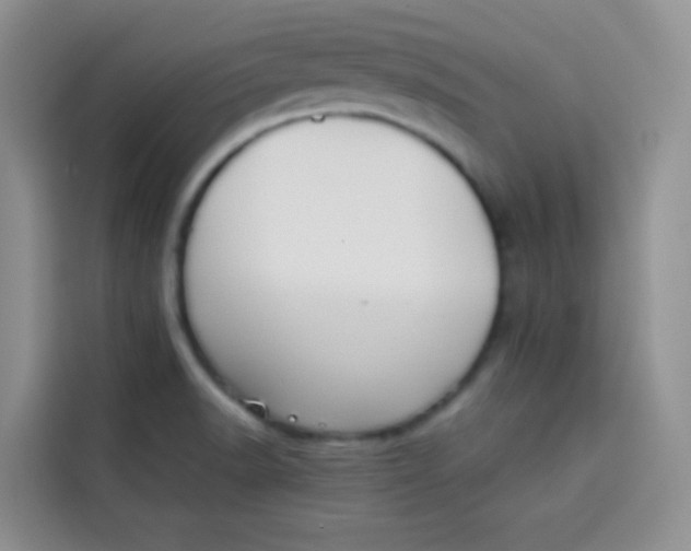 X0000113781518200910141028