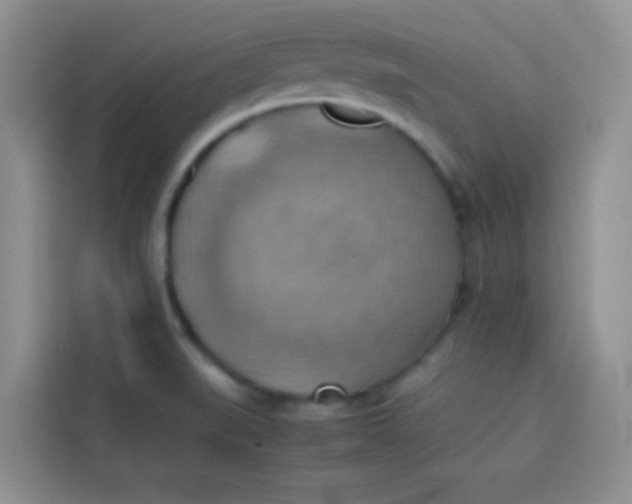 X0000113781519200910141028