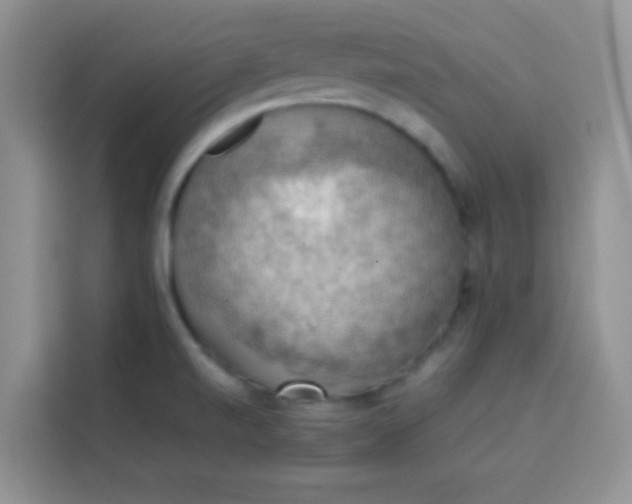 X0000113781520200910141028