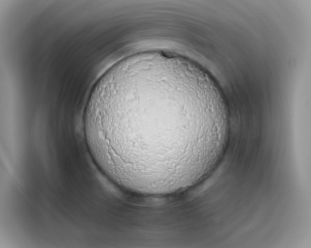 X0000113781521200910141028