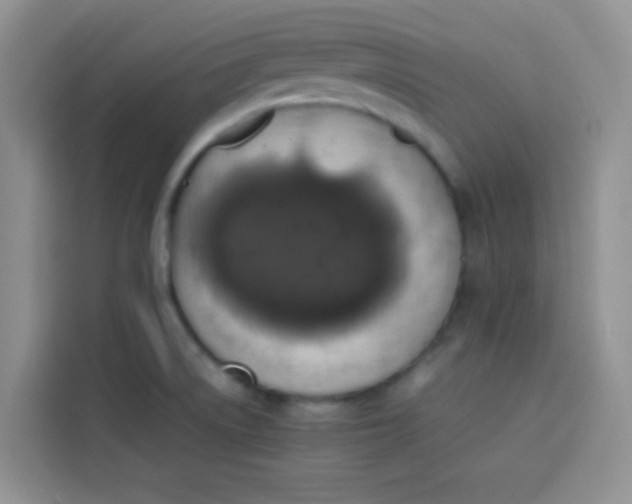 X0000113781522200910141028