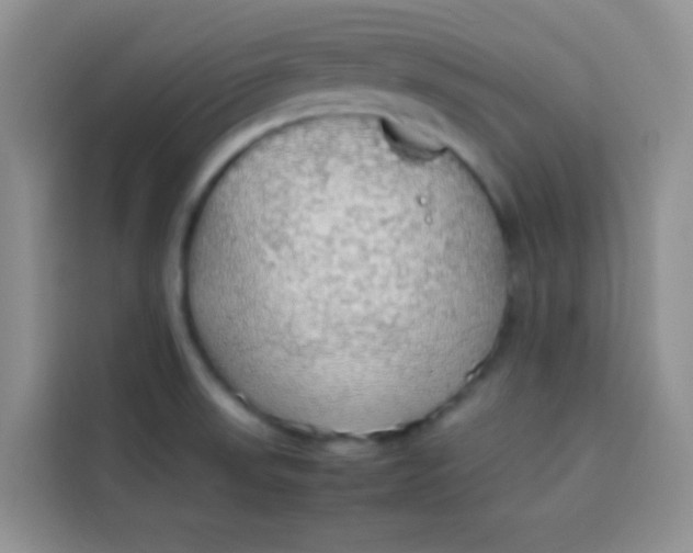 X0000113781523200910141028