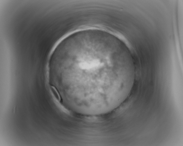 X0000113781524200910141028