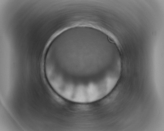 X0000113781525200910141028