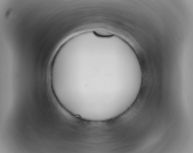 X0000113781526200910141028