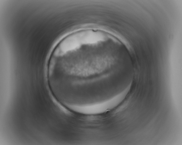 X0000113781527200910141028