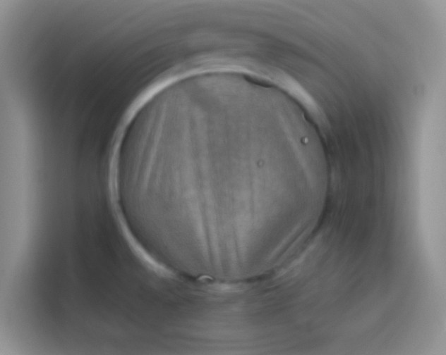 X0000113781528200910141028