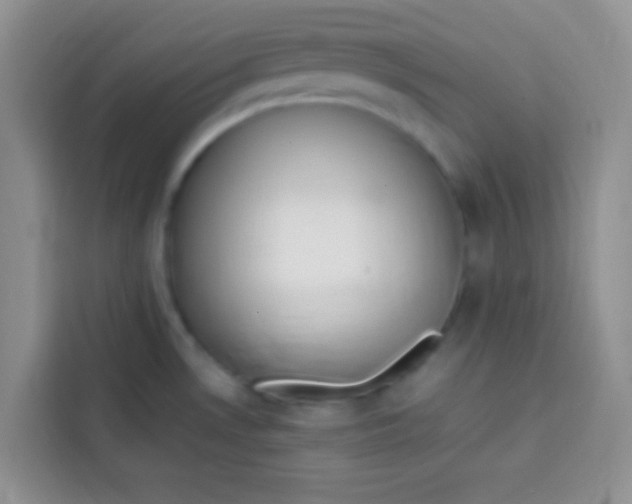 X0000113781530200910141028