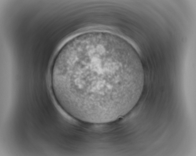 X0000113781531200910141028