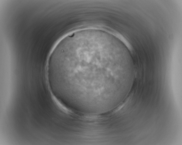 X0000113781532200910141028